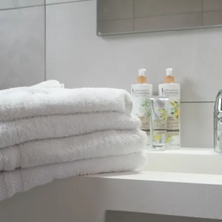 酒店 La Voile 博尔马斯·莱斯·米默萨斯