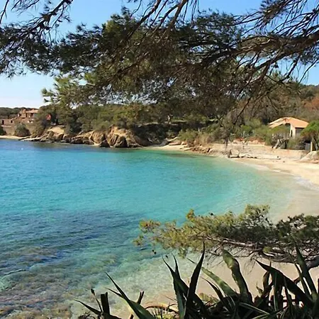 酒店 La Voile 博尔马斯·莱斯·米默萨斯