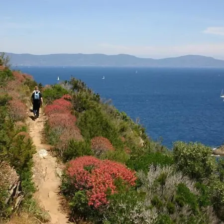 La Voile Bormes-les-Mimosas